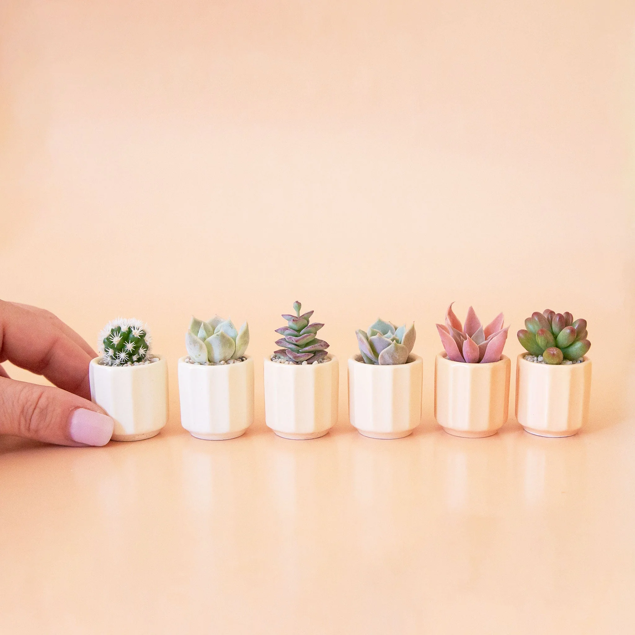 Monroe Mini Planter | Vintage White - Image 4