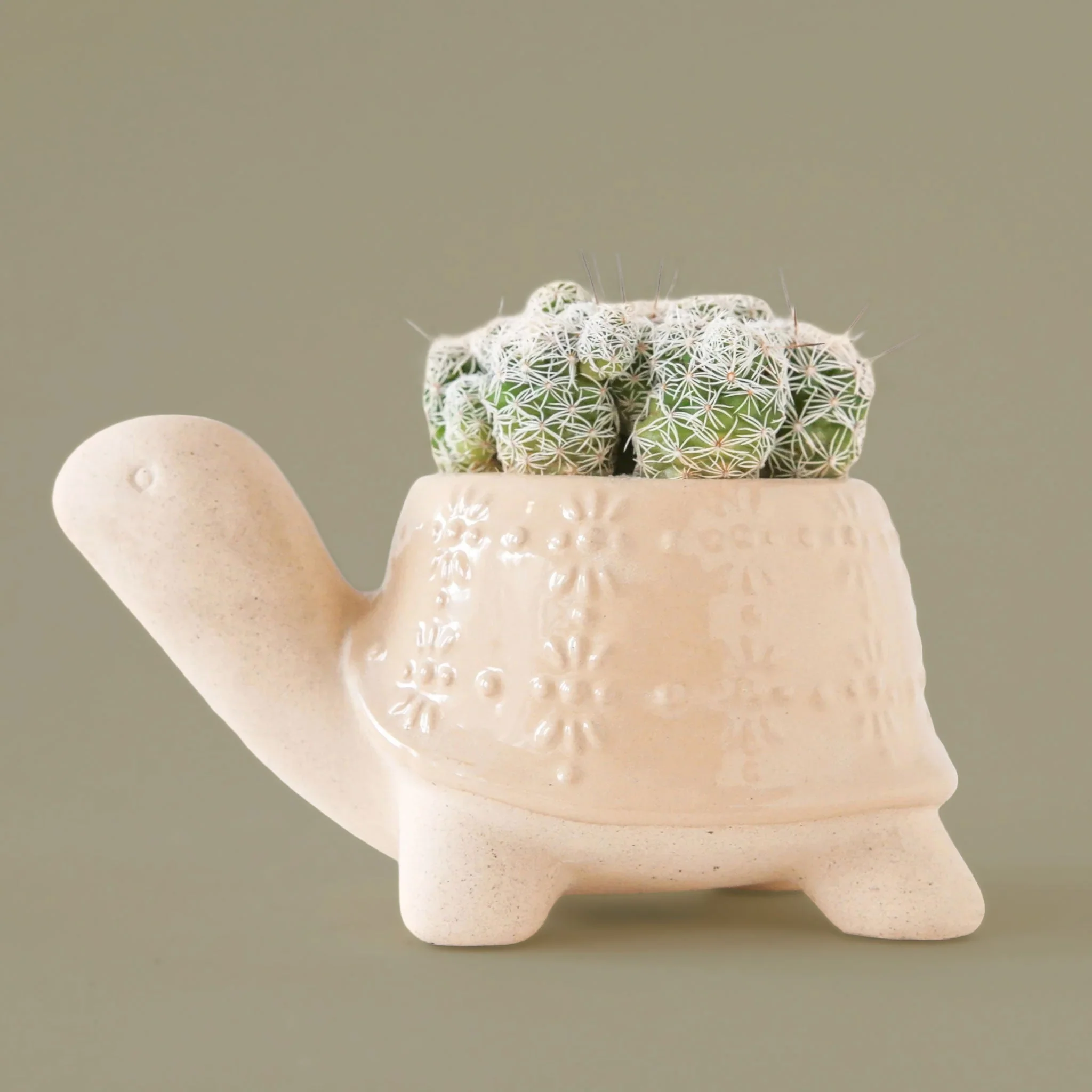 Turtle Planter | Sand - Image 4